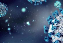 De qué se trata el norovirus, el virus del vómito altamente contagioso