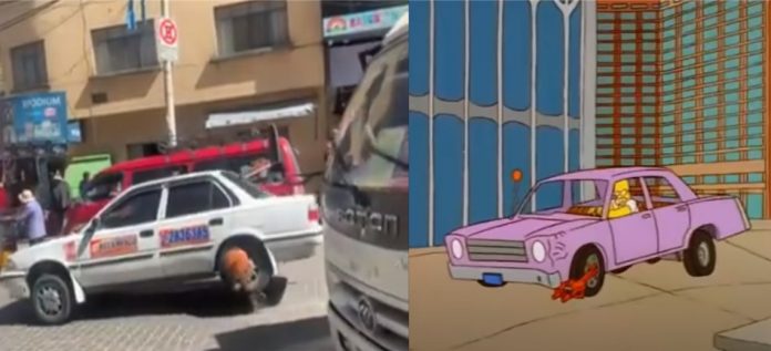 el-video-se-hizo-viral-en-redes-sociales-_1667568494_1140x520