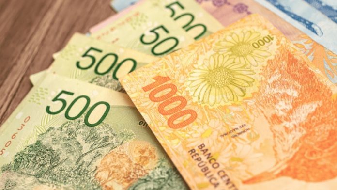 tarjeta_alimentar_anses_auh_pnc