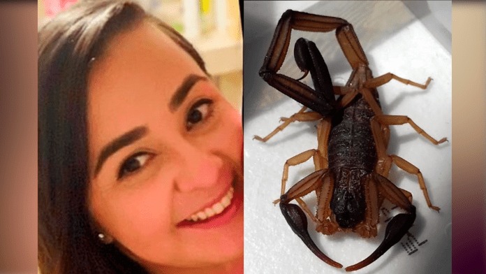 picadura alacran
