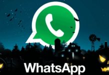WhatsApp se viste de Halloween: ¿Cómo personalizar la aplicación para la Noche de Brujas?