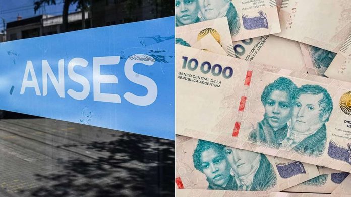 anses--pnc-