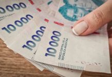 AUH y Tarjeta Alimentar en mayo 2026: montos actualizados según cada hijo